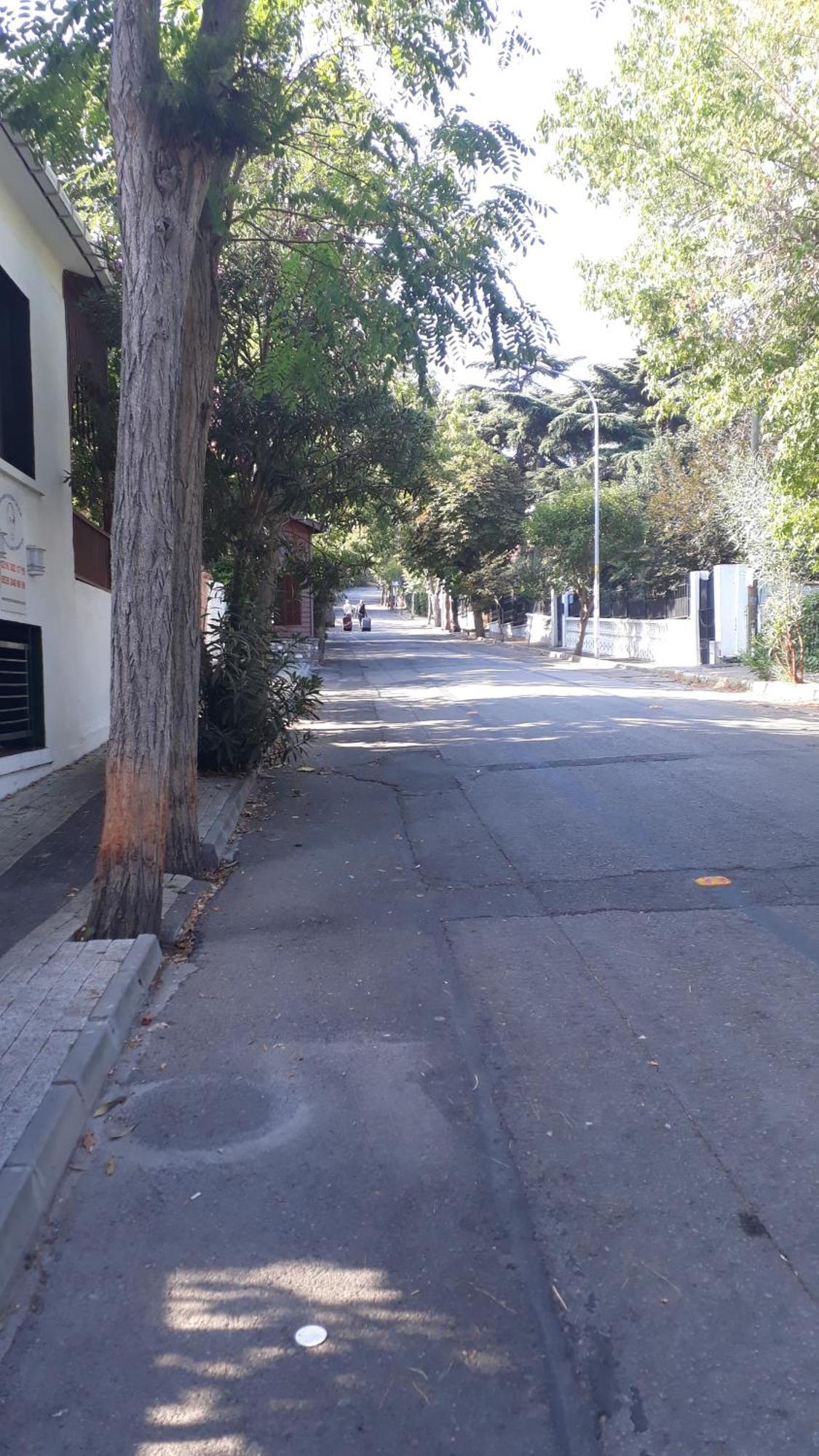 Orhan Kutbayin Evi 아달라르 객실 사진